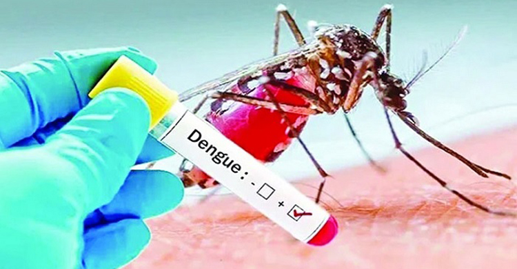 টাঙ্গাইলে ২৪ ঘণ্টায় নতুন ১০ জনের ডেঙ্গুজ