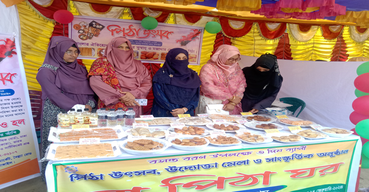 টাঙ্গাইলে নারী উদ্যোক্তাদের বাহারি &lsquo;পিঠা