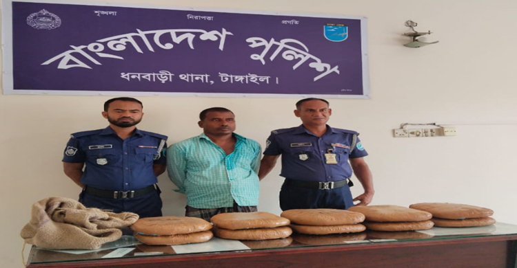 ধনবাড়ীতে ২০ কেজি গাঁজাসহ আটক এক