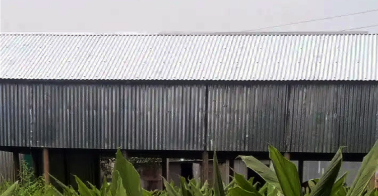 ঘাটাইলে বনের জায়গা জবরদখল করে ঘর উত্তোলন