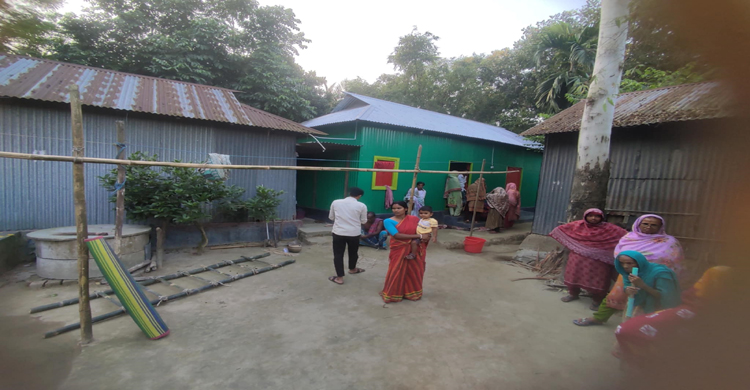 ঘাটাইলে ষাঁড়ের গুঁতায় প্রাণ গেল গৃহবধূর