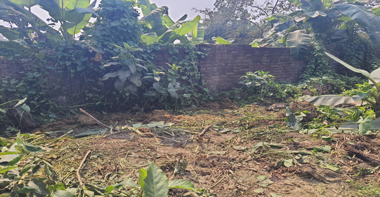 গোয়ালঘর থেকে গরু চুরি করে জবাই