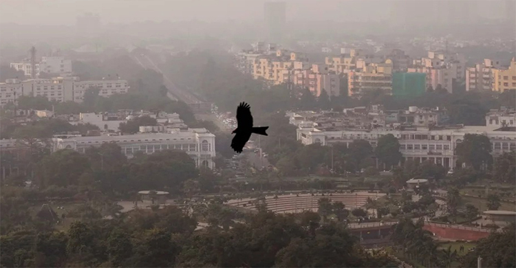 বিশ্বের ২০টি দূষিত শহরের ১৩টিই ভারতে, দি